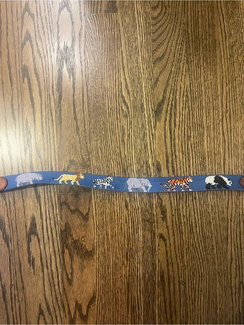 Smathers and Branson Youth Zoo Animal Needlepoint Belt